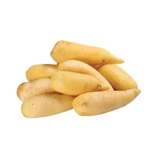MANDIOCA SALSA
