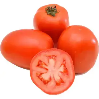 TOMATE KG
