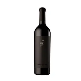 VINHO ARG ALMA NEGRA 750ML TTO